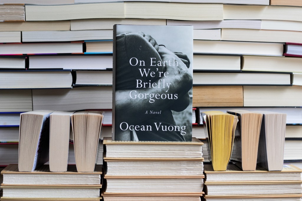 On Earth We’re Briefly Gorgeous:&nbsp;Reflection